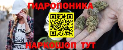 марки lsd Новозыбков
