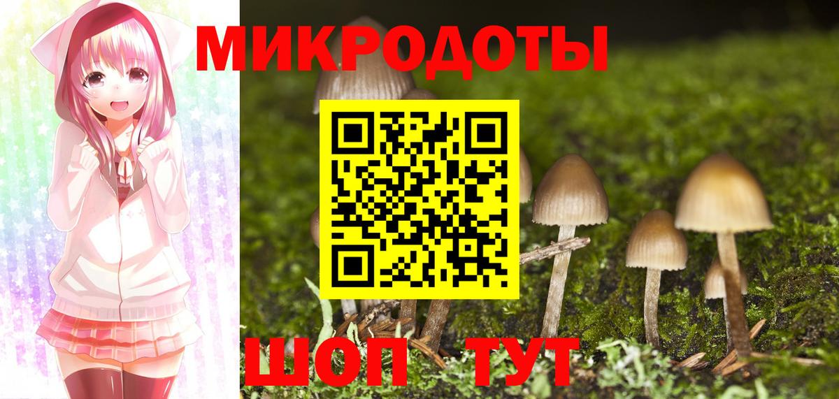 Бошки Шишки Соль-Илецк