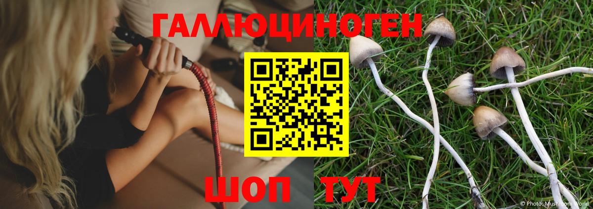 Галлюциногенные грибы Psilocybine cubensis  Вход с VPN  Соль-Илецк 